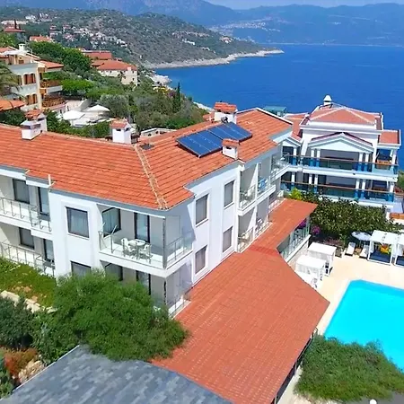 Cachet - Adult Only +14