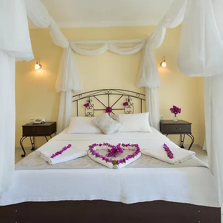 Cachet - Adult Only +14