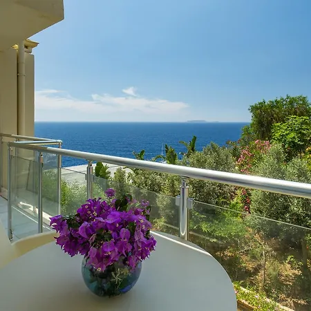 Hotel Cachet - Adult Only +14