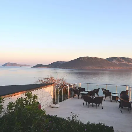 Cachet - Adult Only +14