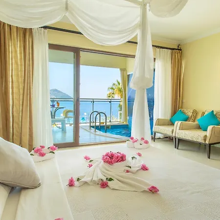 Cachet - Adult Only +14 Отель