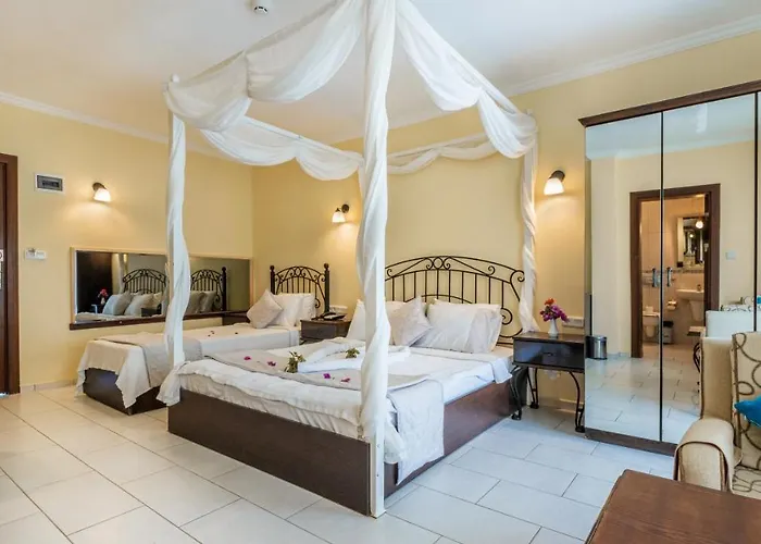 Cachet - Adult Only +14 Kas