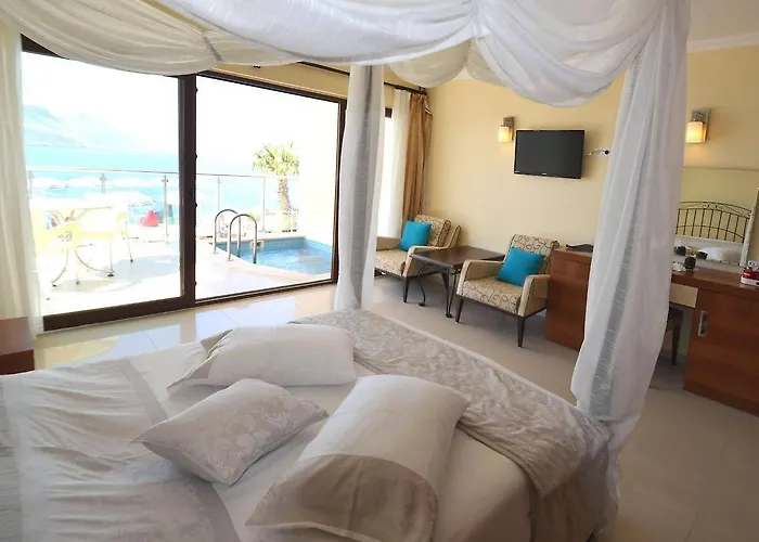 Cachet - Adult Only +14 Kas