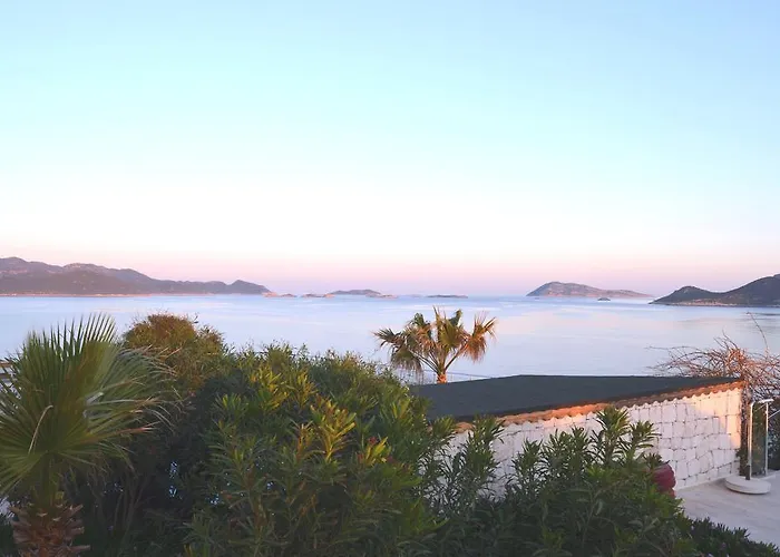 Hotel Cachet - Adult Only +14 Kas