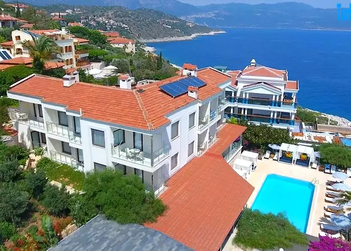 Cachet - Adult Only +14