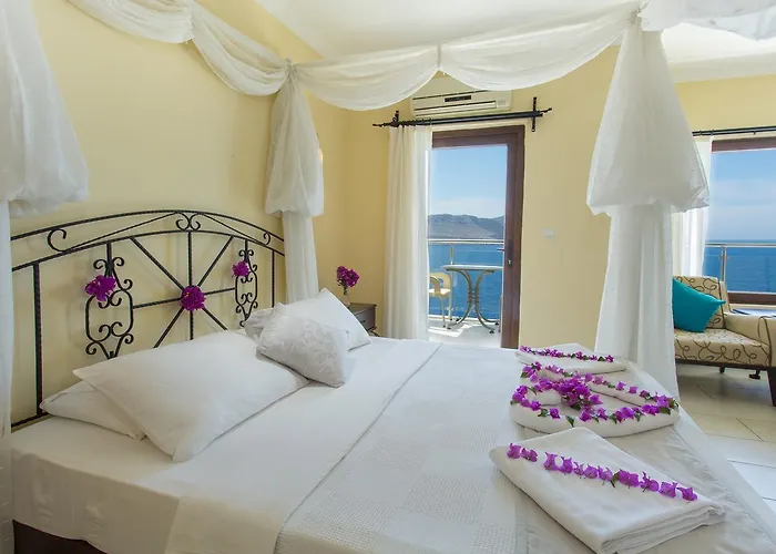 Hotel Cachet - Adult Only +14 Kas