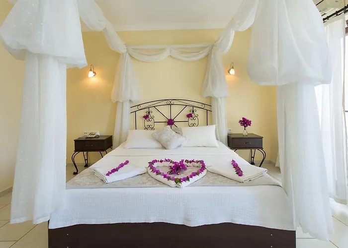 Cachet - Adult Only +14