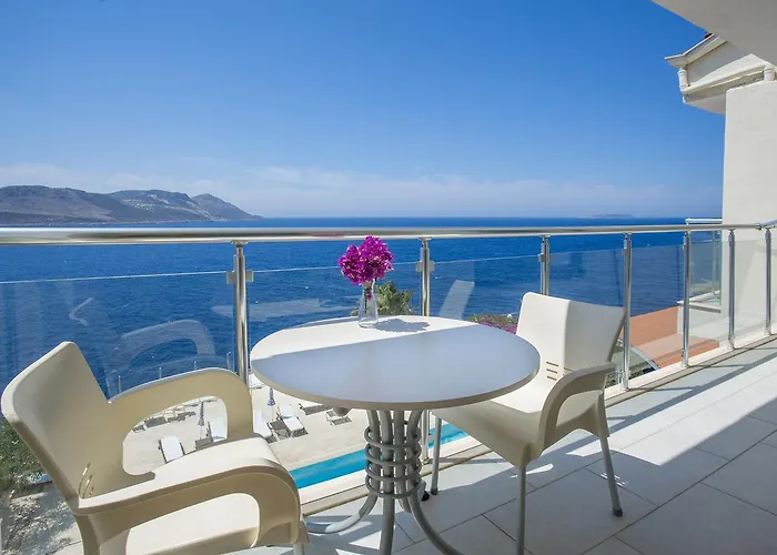 Cachet - Adult Only +14