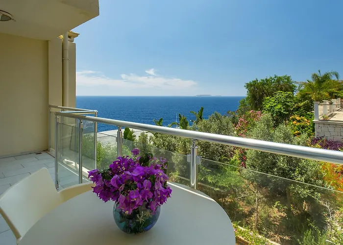 Hotel Cachet - Adult Only +14