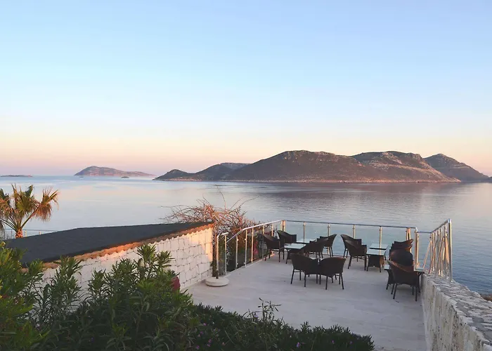 Cachet - Adult Only +14