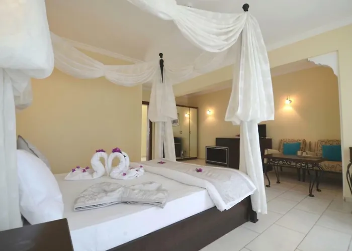 Cachet - Adult Only +14