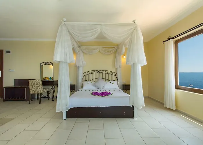 Cachet - Adult Only +14 Kas