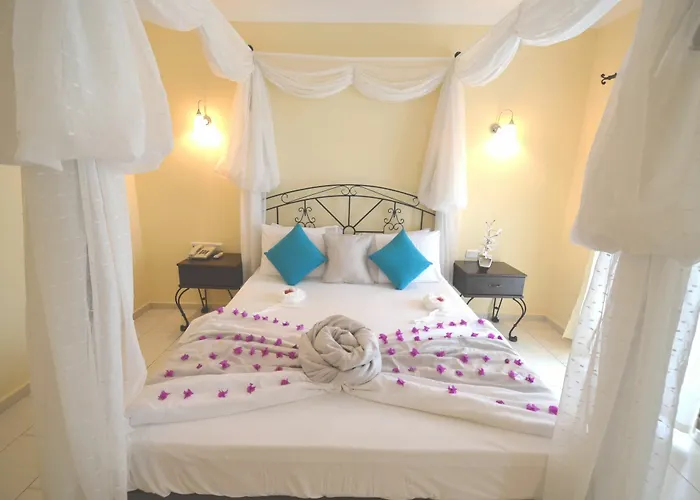 Cachet - Adult Only +14 3*