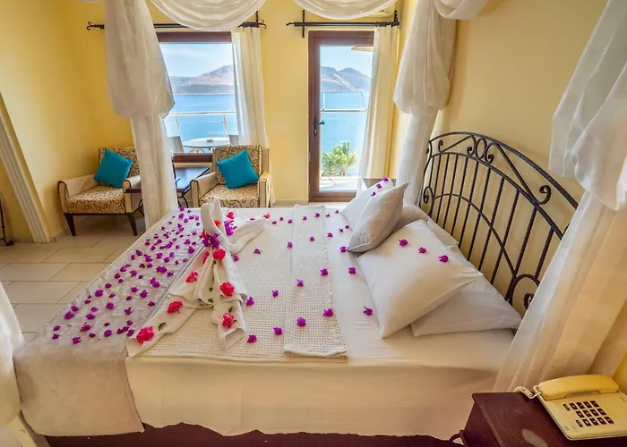 Hotel Cachet - Adult Only +14 Kas