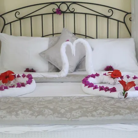 Cachet - Adult Only +14 3* كاس