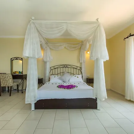 Cachet - Adult Only +14 كاس