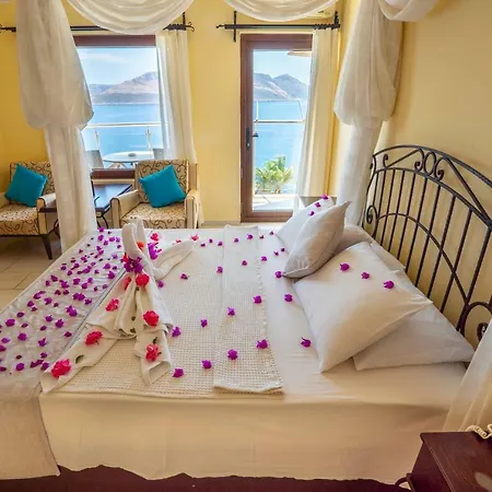 فندق Cachet - Adult Only +14 كاس