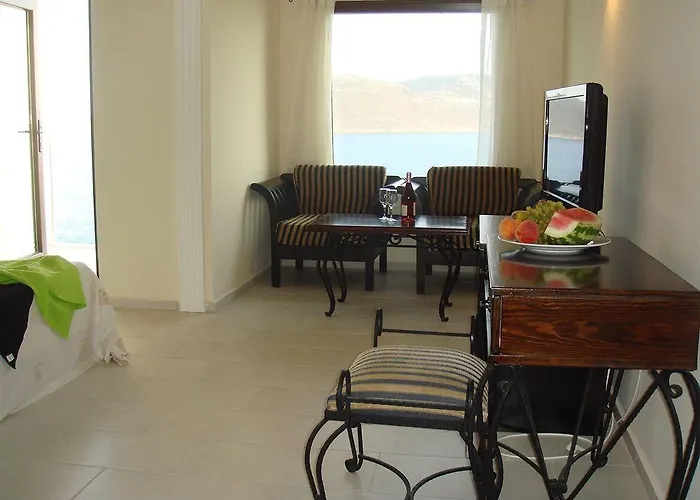 Cachet - Adult Only +14 كاس