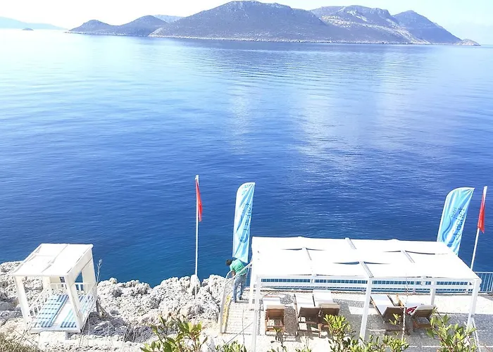 Cachet - Adult Only +14 كاس