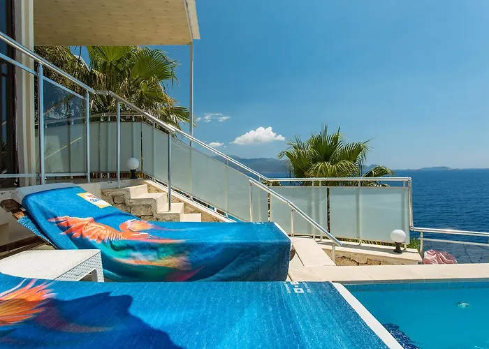 Cachet - Adult Only +14 كاس