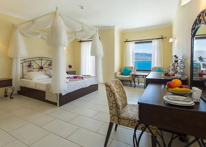 Cachet - Adult Only +14 كاس