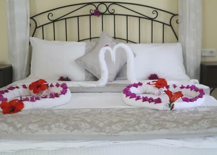 Cachet - Adult Only +14 3* كاس